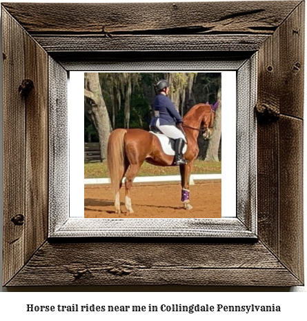 horse trail rides near me in Collingdale, Pennsylvania